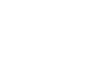 ZerOne White Logo